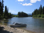 Moose hunting in prince george bc